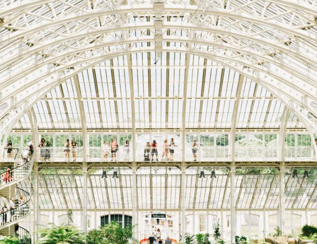 kew gardens london By Doruk Yemenici/Unsplash
