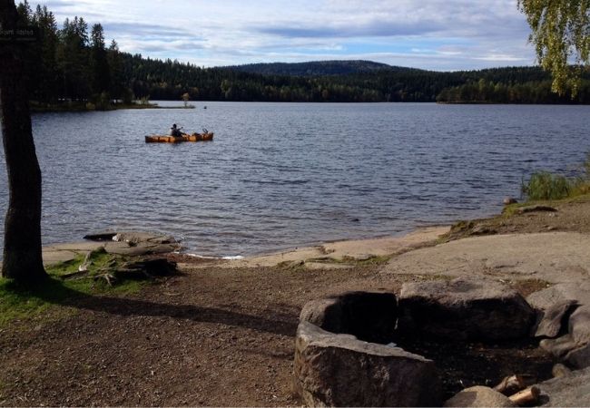 Mellomkollen Forest, Oslo Mellomkollen Forest, Oslo