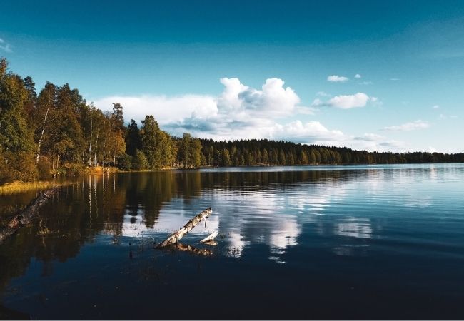 Sognsvann Forest, Oslo Sognsvann Forest, Oslo