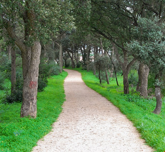 0d70b0b77a9fae8a4570accf783193b5 0d70b0b77a9fae8a4570accf783193b5