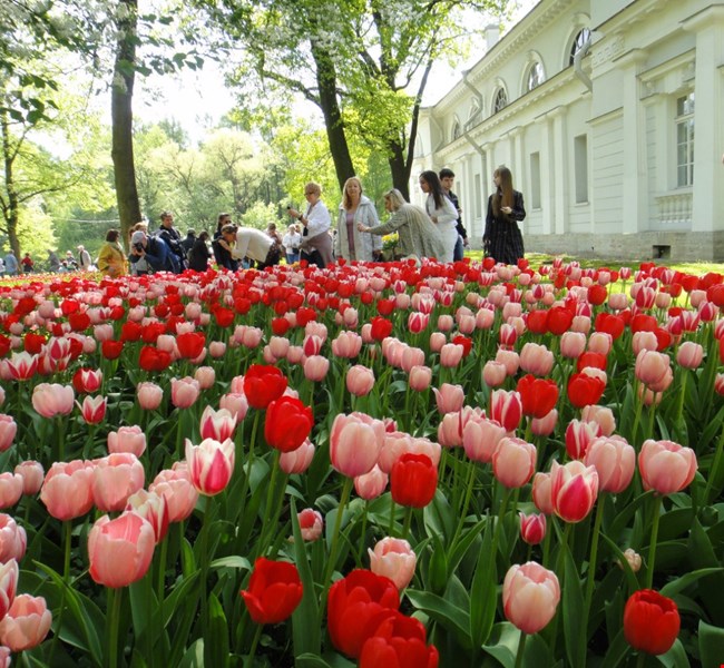 3447ed3478542bc8668090c155d1dcbd 3447ed3478542bc8668090c155d1dcbd