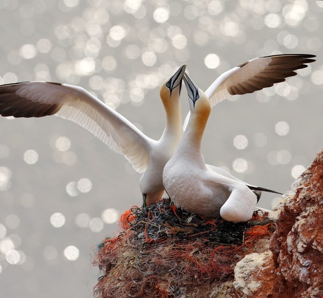 4e71bb2042194c83ce94ab7bcc51f1aa 4e71bb2042194c83ce94ab7bcc51f1aa