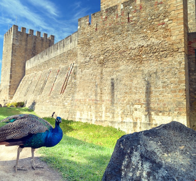 775efadbf232d817838b373b57a56162 775efadbf232d817838b373b57a56162