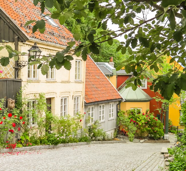 92fb74a9564a08826a91c770f831b668 92fb74a9564a08826a91c770f831b668