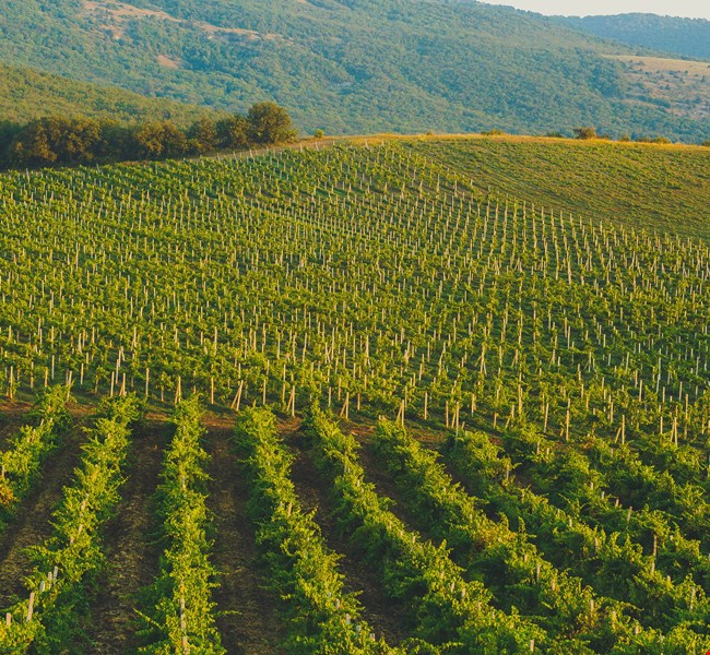 94e3191fb8f525339d16b062b1486553 94e3191fb8f525339d16b062b1486553