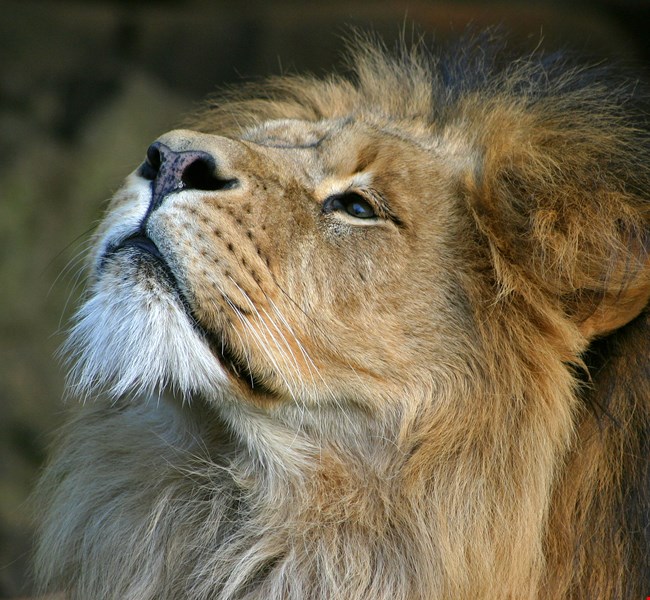 992e30b1914ed89308ec0f05813ced68 992e30b1914ed89308ec0f05813ced68