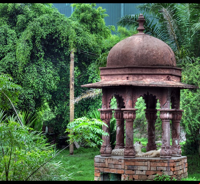 Bali Safari & Marine Park Bali Safari & Marine Park