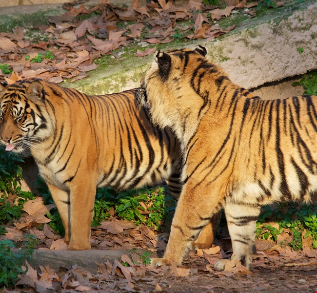 Barcelona Zoo Barcelona Barcelona Zoo Barcelona