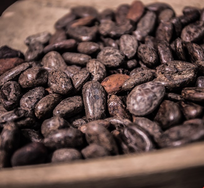 Belgian Chocolate Village Brussels Belgian Chocolate Village Brussels