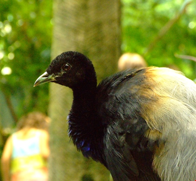 CosmoCaixa Barcelona CosmoCaixa Barcelona