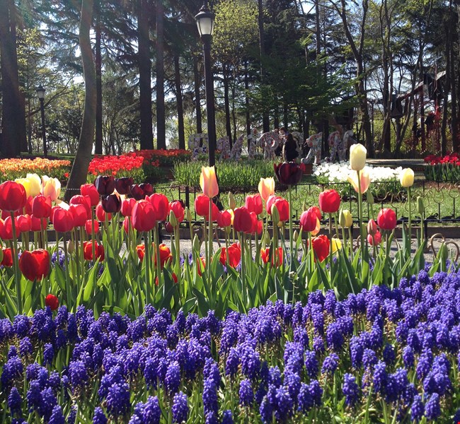 Emirgan Park Istanbul Emirgan Park Istanbul