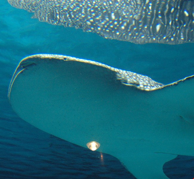 Istanbul Aquarium Istanbul Aquarium