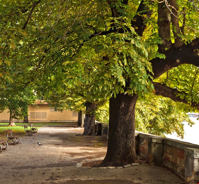 Kampa Park Prague Kampa Park Prague