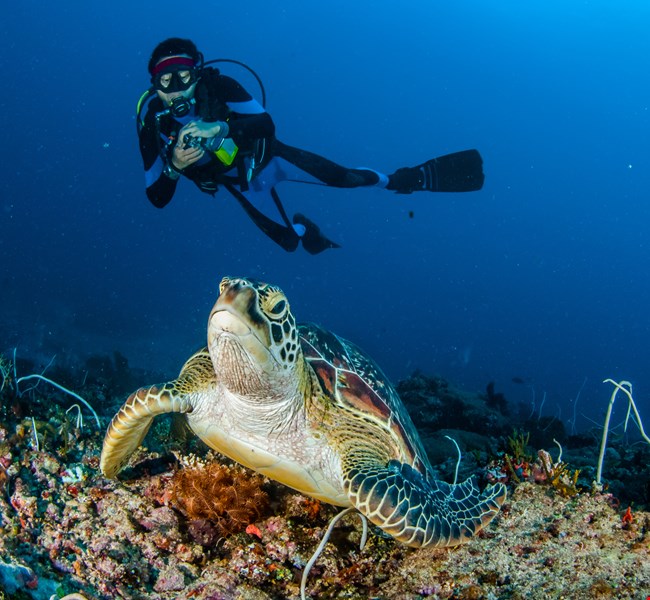 Water Sport Activities in Bali Water Sport Activities in Bali