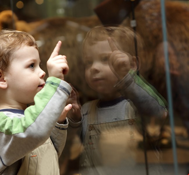 b033a288e265e44a79e7a69a4a301981 b033a288e265e44a79e7a69a4a301981