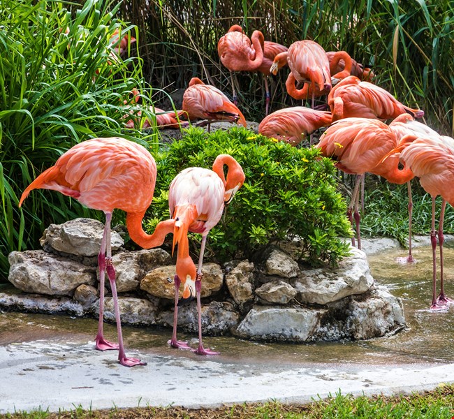 c1895ed93dc945fdabf82c5e46dc49bb c1895ed93dc945fdabf82c5e46dc49bb