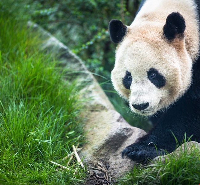 cc530bcae8f2dfcee9bcf10990ec3532 cc530bcae8f2dfcee9bcf10990ec3532