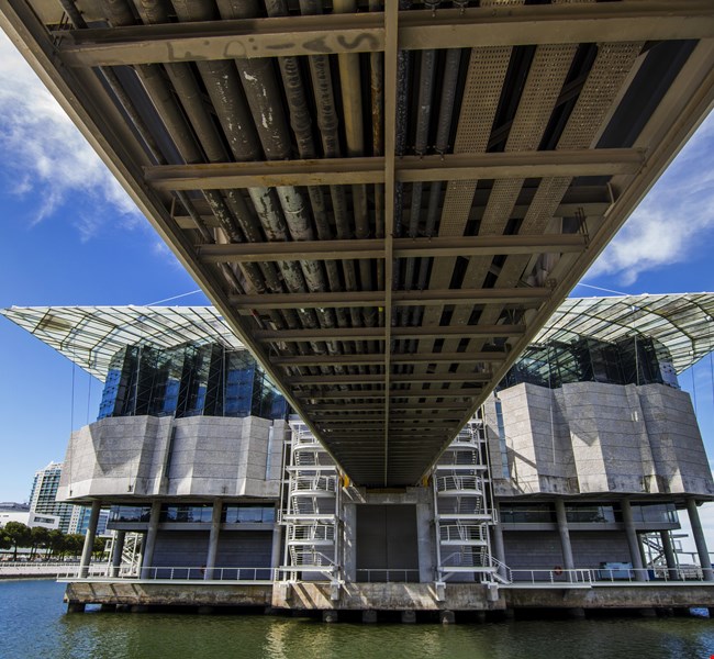 d1e77b0dff61bfb880037d7446e5566c d1e77b0dff61bfb880037d7446e5566c