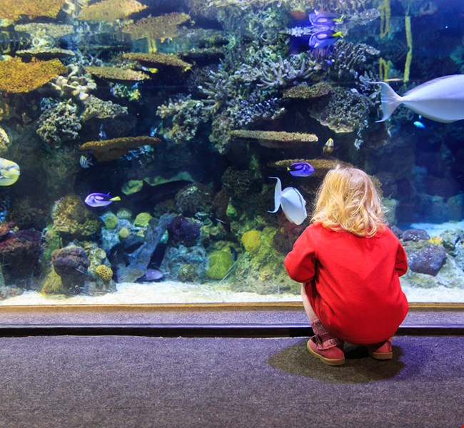 dacc0cb2ab07fd0025651aef35bb5001 dacc0cb2ab07fd0025651aef35bb5001