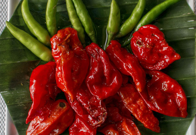 Bhot jolokiya of Assam Bhot jolokiya of Assam