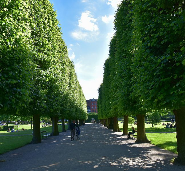 Kongens Have Kongens Have