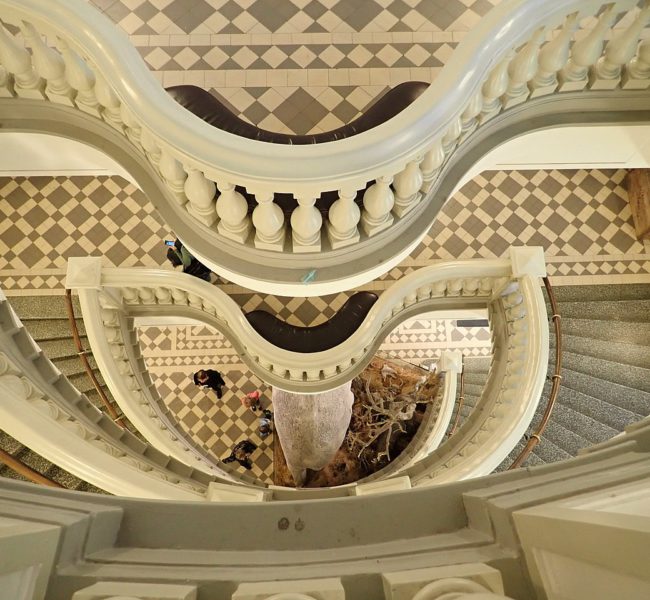 Natural History Museum Natural History Museum