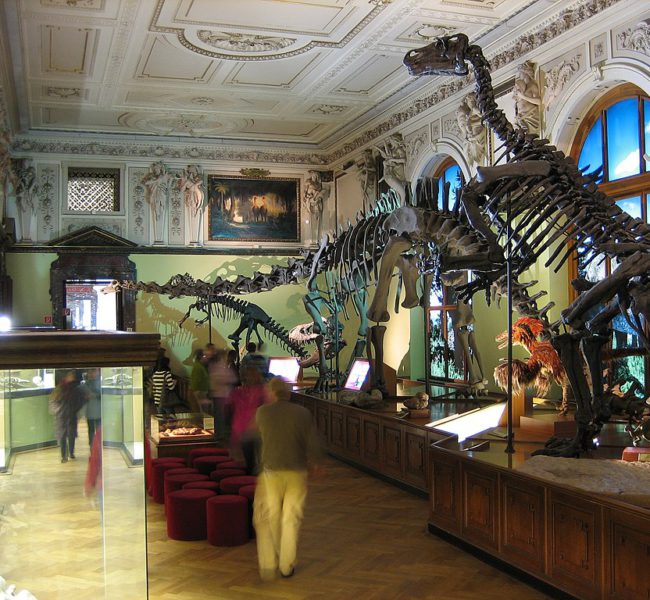 Natural History museum Natural History museum