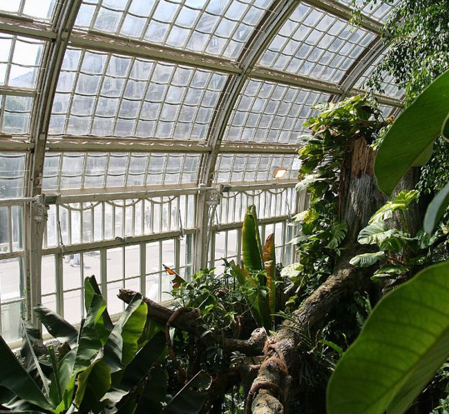 Palmenhaus/Schmetterlinghaus im Wiener Burggarten Palmenhaus/Schmetterlinghaus im Wiener Burggarten