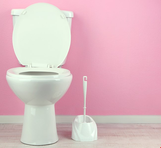 Sulabh International Museum of Toilets Sulabh International Museum of Toilets