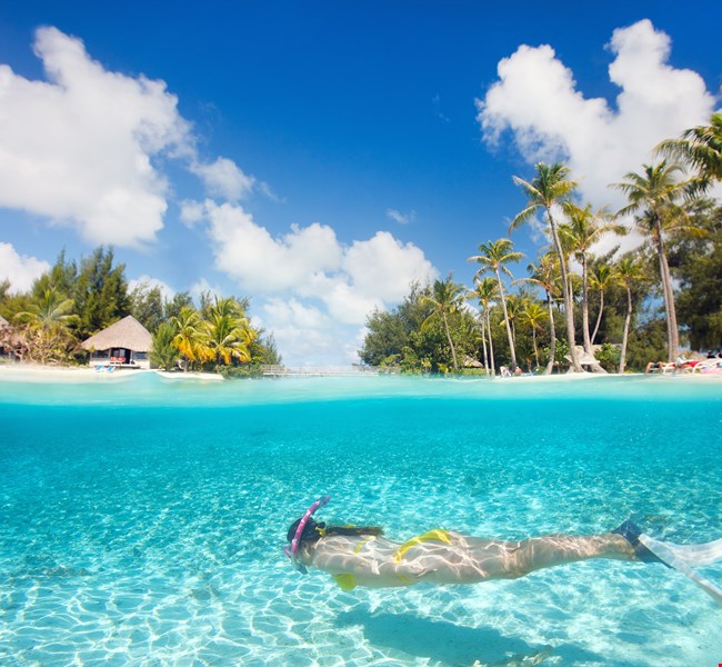 snorkeling maafushi maldives snorkeling maafushi maldives