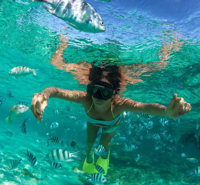 Sandy Toes Sandy Toes