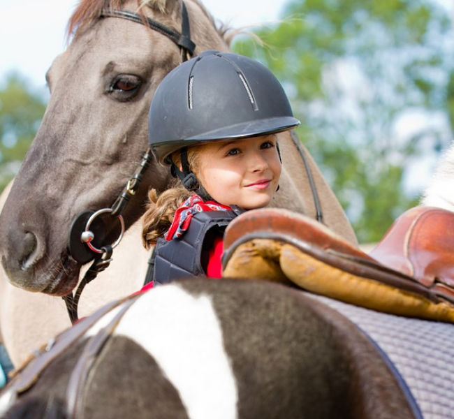 Club Hippique de Deauville Club Hippique de Deauville