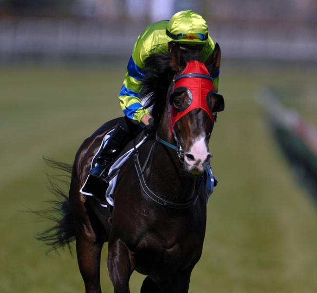 Hippodrome Deauville - Clairefontaine Hippodrome Deauville - Clairefontaine